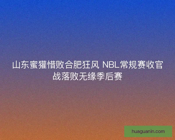 山东蜜獾惜败合肥狂风 NBL常规赛收官战落败无缘季后赛